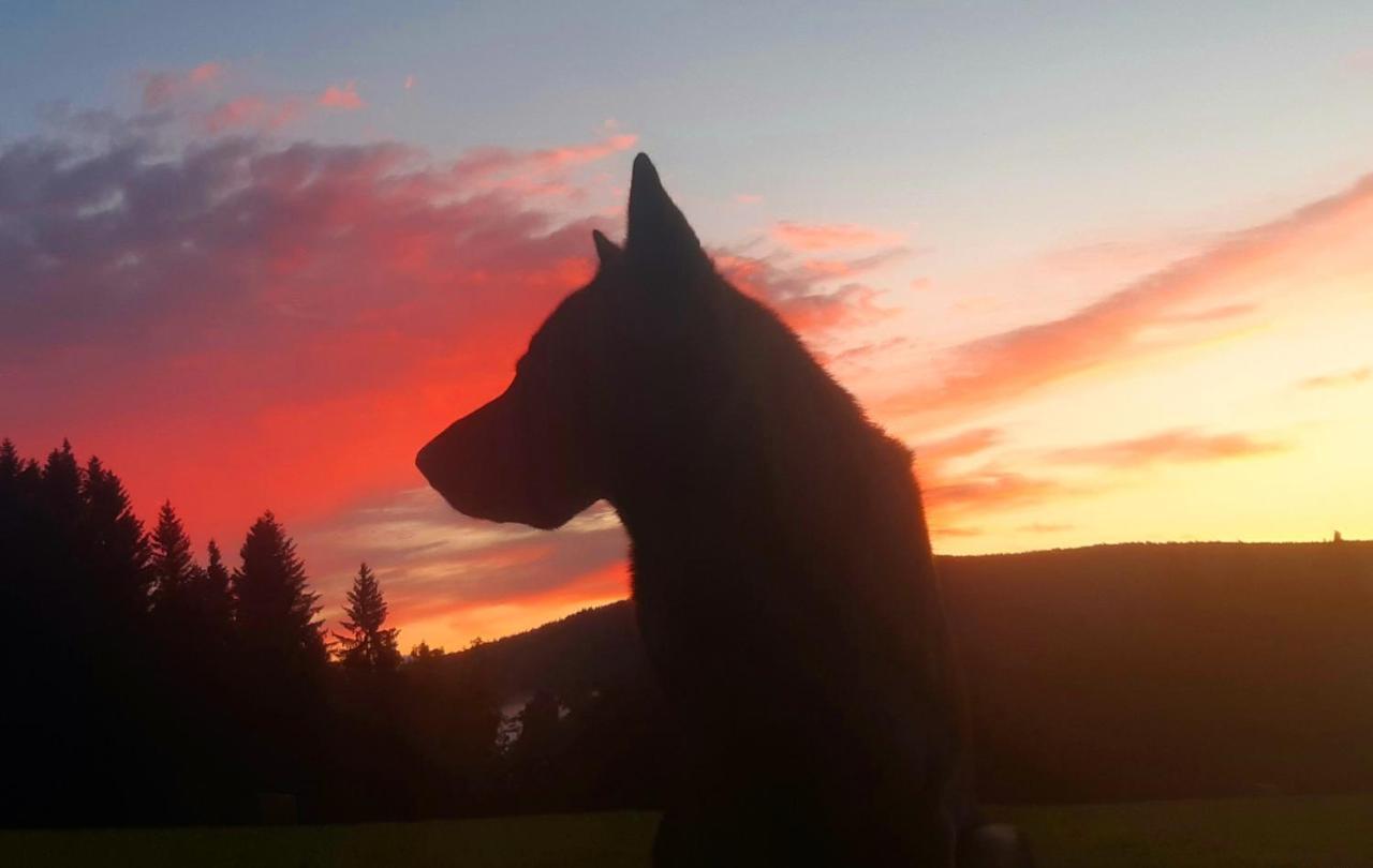 Penzion U Draci Skaly Hotel Svojse Buitenkant foto