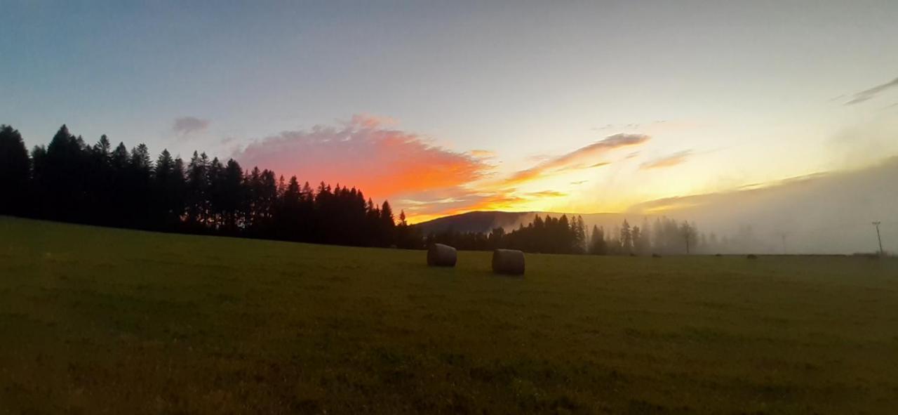 Penzion U Draci Skaly Hotel Svojse Buitenkant foto