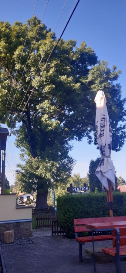 Penzion U Draci Skaly Hotel Svojse Buitenkant foto