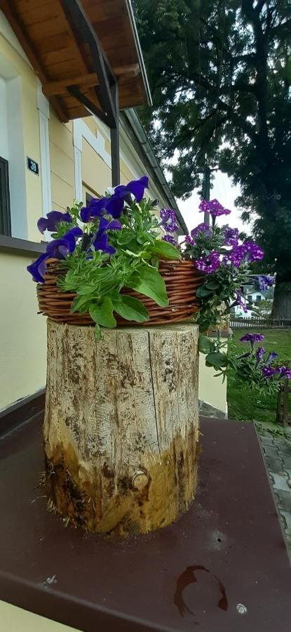 Penzion U Draci Skaly Hotel Svojse Buitenkant foto