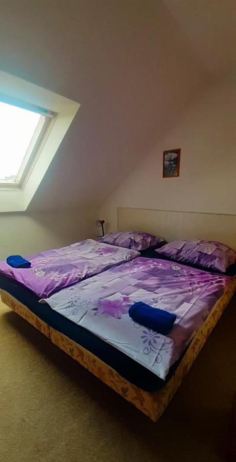 Penzion U Draci Skaly Hotel Svojse Buitenkant foto